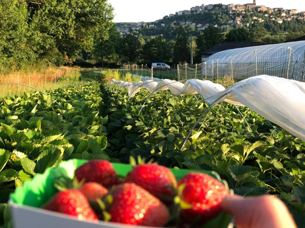 Gite A La Ferme De Verdurette Cordes-Sur-Ciel Exterior foto