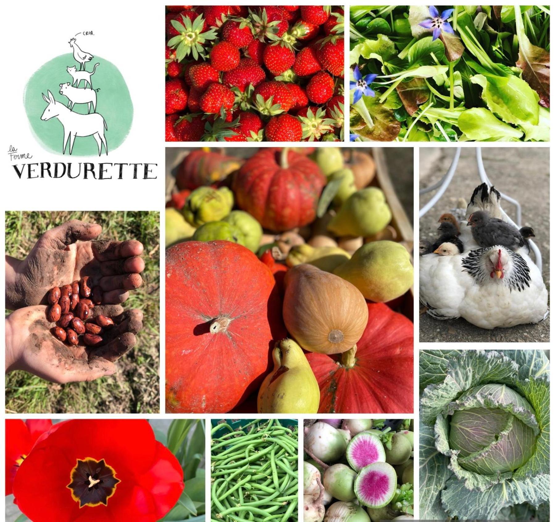 Gite A La Ferme De Verdurette Cordes-Sur-Ciel Exterior foto