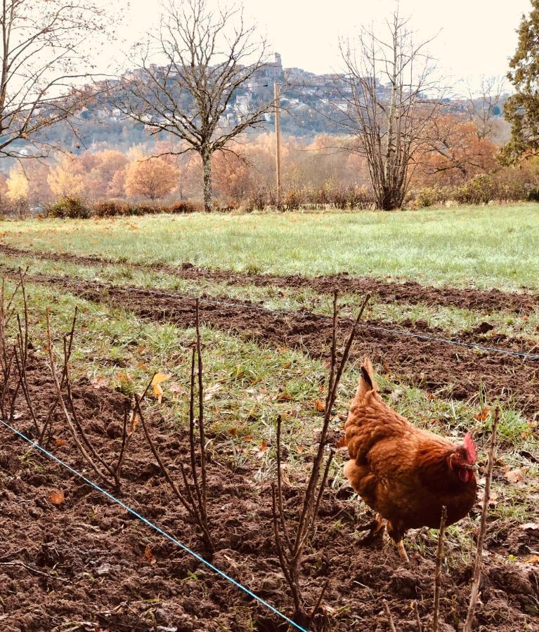 Gite A La Ferme De Verdurette Cordes-Sur-Ciel Exterior foto